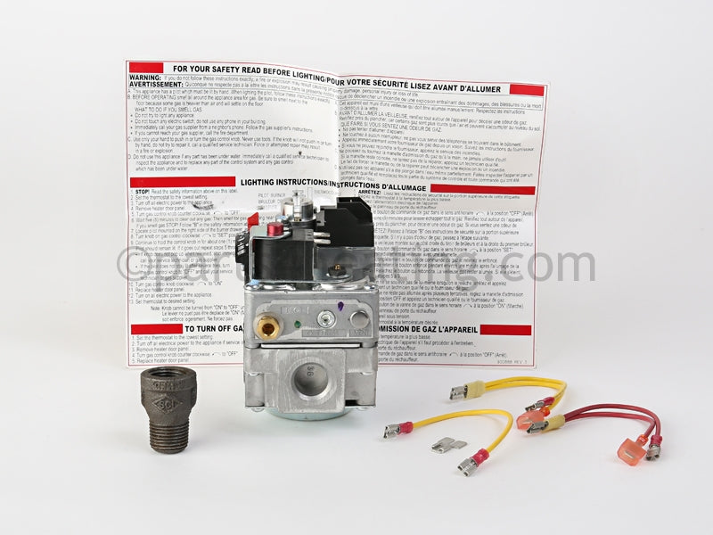 Raypak Combination Valve Pro. Std. Robertshaw - Part Number: 004825F