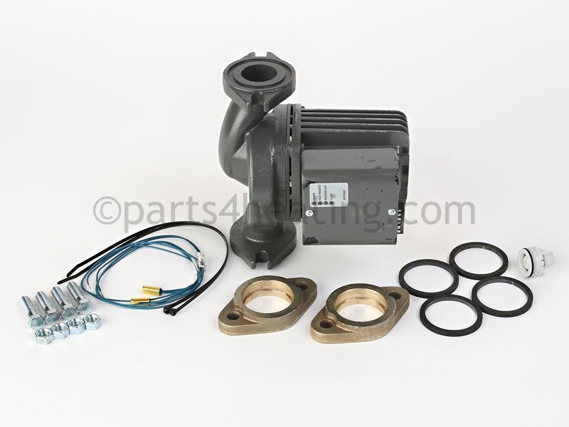 Raypak Dual Injector Pump Ci - Part Number: 012601F