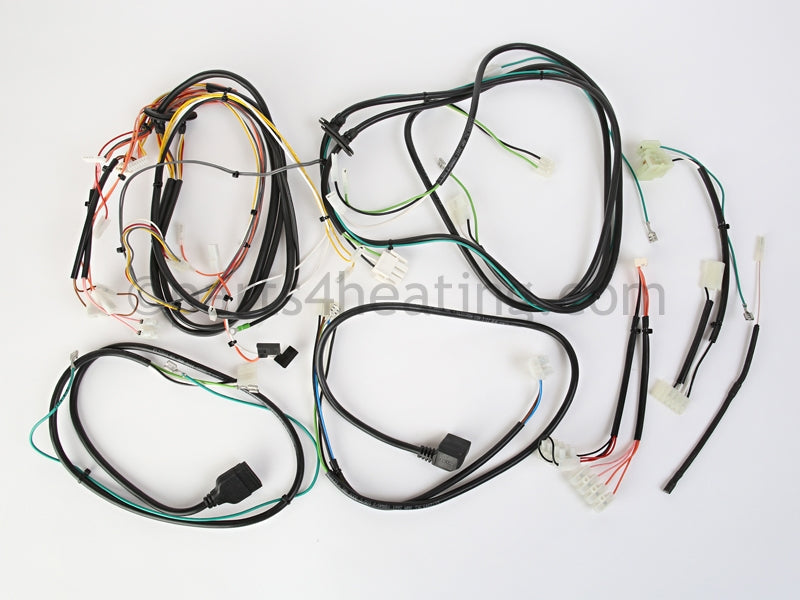 Raypak Wire Harness Kit - (Includes Complete Set Of Boiler Harnesses) - Part Number: 012836F