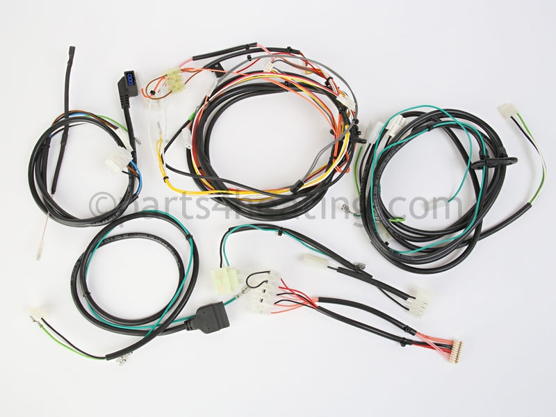 Raypak Wire Harness Kit - Part Number: 012999F