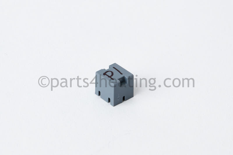 Raypak Chip - Inverter Prog - Part Number: 013069F