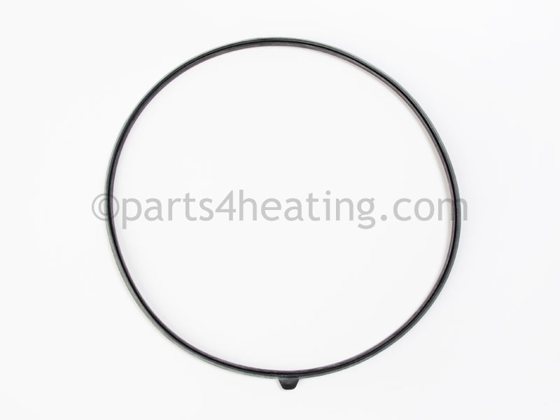 Raypak Door Seal Gaskets - Part Number: 013162F