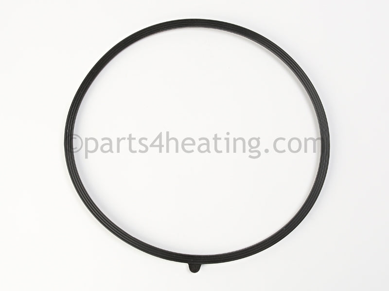 Raypak Door Seal Gaskets - Part Number: 013174F