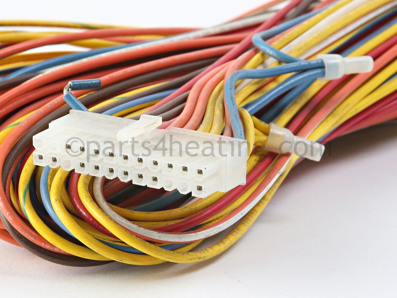 Raypak Wire Harness - Part Number: 013330F