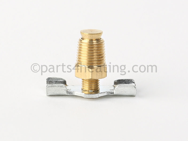 Raypak Drain Valve 1/8 Kit - Part Number: 013793F