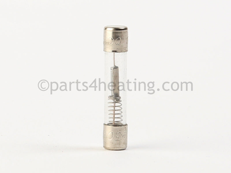 Raypak Fuse 5 Amp (Pump) (Slow Blow) - Part Number: 013972F