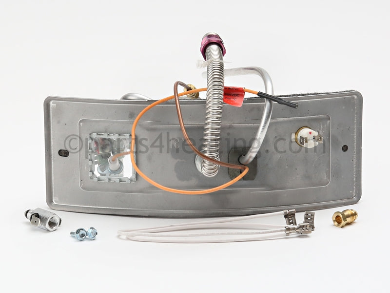 A.O. Smith Fg,Door Switch,Lp - Part Number: 100093816