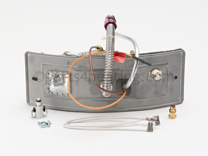 A.O. Smith Fg,Door Switch,Lp - Part Number: 100093816