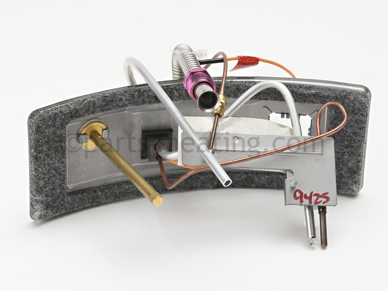 A.O. Smith Fg,Door Switch,Lp - Part Number: 100093816