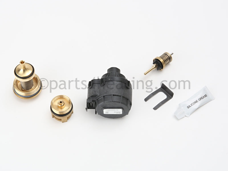 Lochinvar Diverter Motor/Internal Assembly - Part Number: 100278302