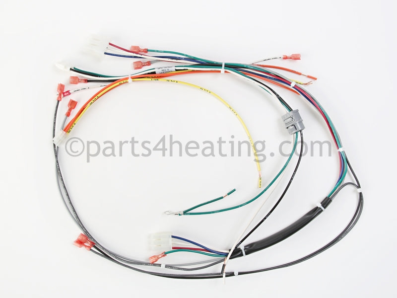 Dunkirk Wire Harness - Part Number: 240009075