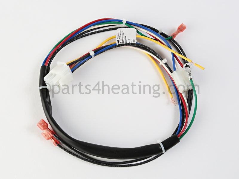 Utica Low Volt Harness - Part Number: 240009195