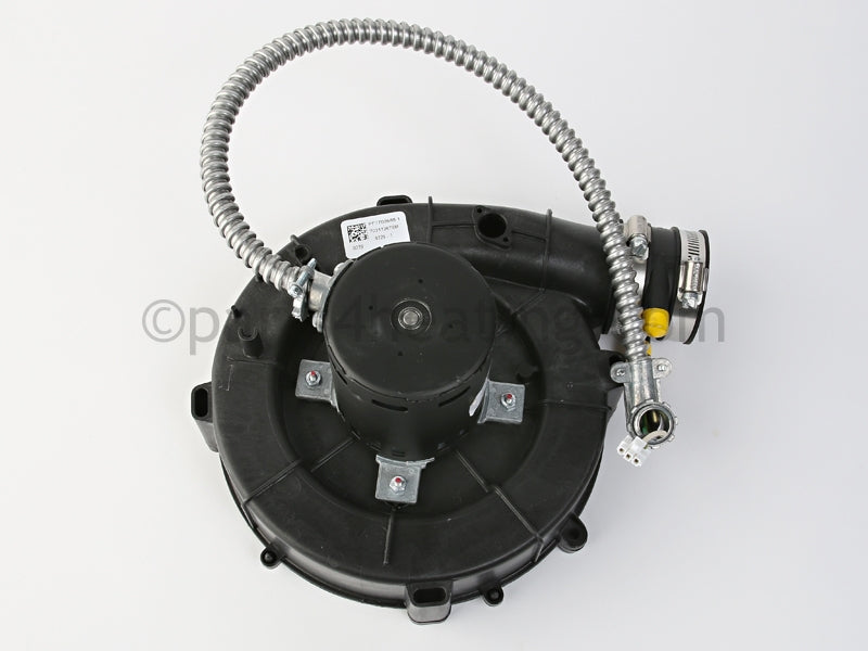 Dunkirk Flue Gas Blower With Vent Pipe Connector - Part Number: 240009288