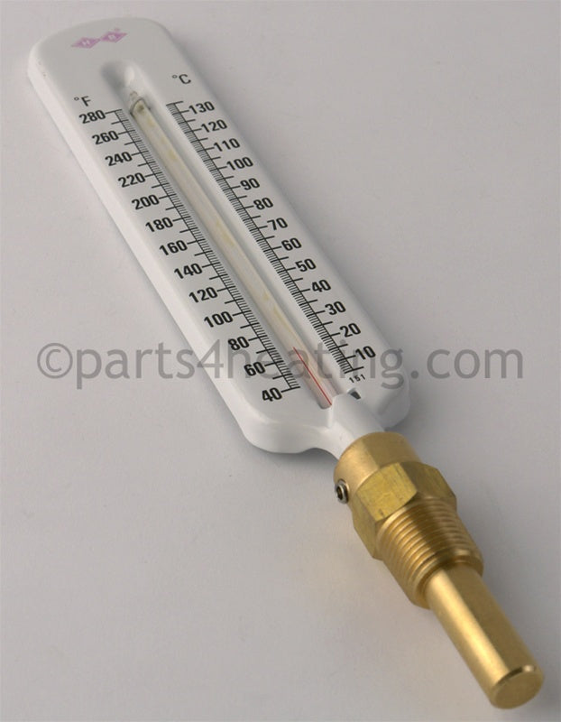 Raypak Vertical Thermometer (Not Shown) - Part Number: 600133