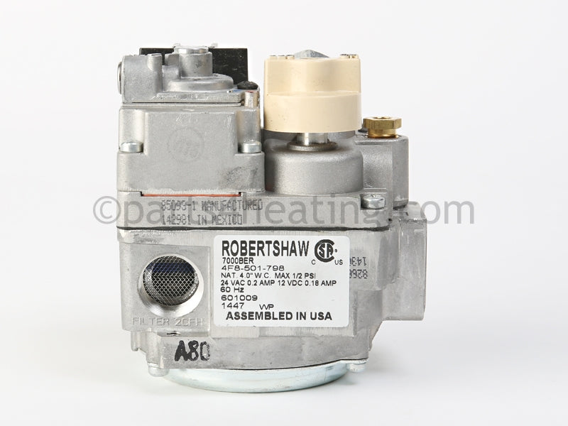 Raypak Combination Valve Nat. Std. Robertshaw - Part Number: 601009