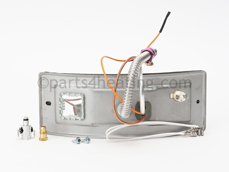 A.O. Smith FG,DOOR SWITCH,LP,FG30T30 - Part Number 6910815