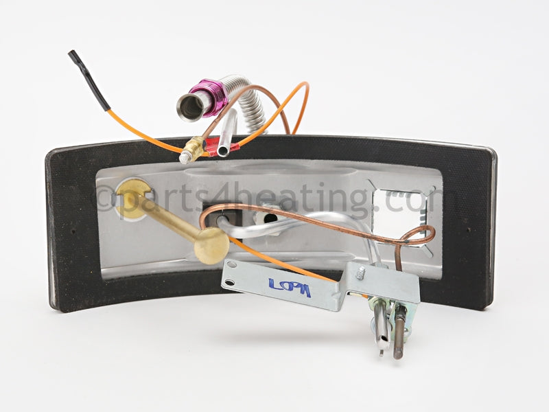 A.O. Smith FG,DOOR SWITCH,LP,FG30T30 - Part Number 6910815