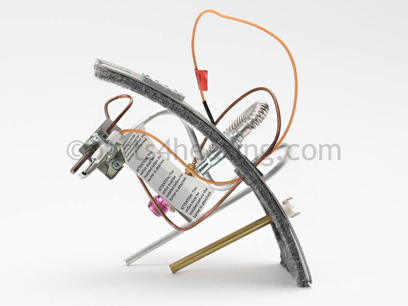 A.O. Smith FG,DOOR SWITCH,LP,FG50T40 - Part Number 6910818