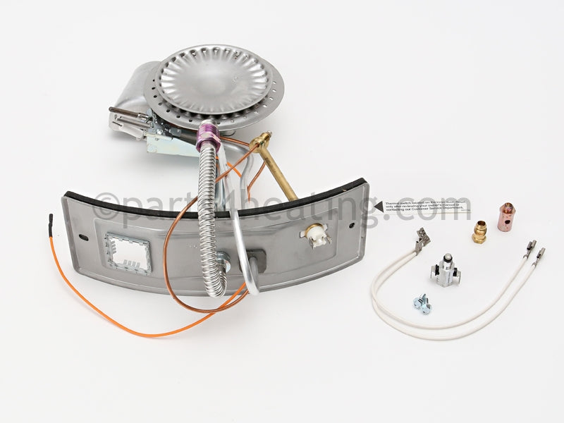 A.O. Smith Fg,Door Switch,Lp,Fg30S30 - Part Number: 6910820