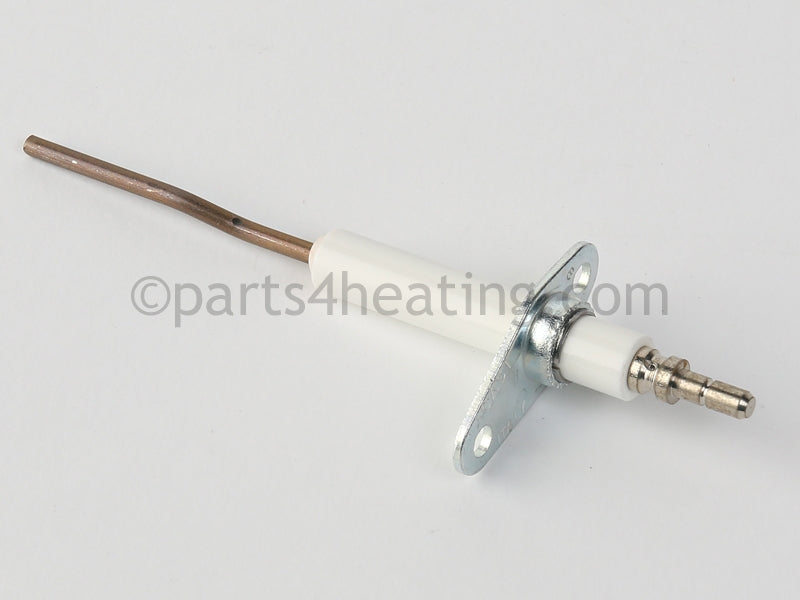 Slant/Fin Detection Electrode - Part Number: 819090000