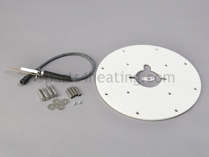 A.O. Smith Spark Igniter Assembly - Part Number: 9008927015