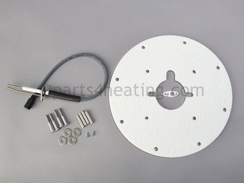 A.O. Smith Spark Igniter Assembly - Part Number: 9008927015