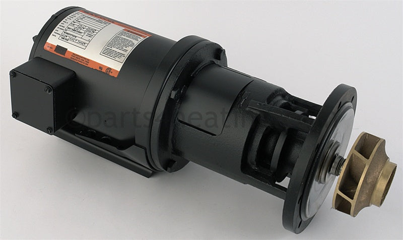 Laars Heating Systems Pump 1/3 Hp - Part Number: A2115101