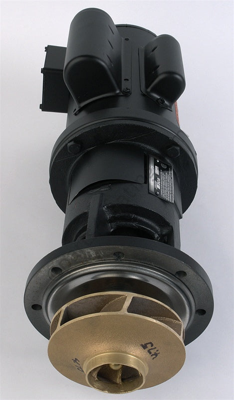 Laars Heating Systems Pump 3/4 Hp - Part Number: RA2115103